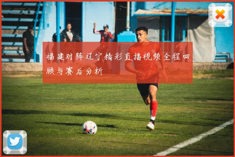 福建对阵辽宁精彩直播视频全程回顾与赛后分析