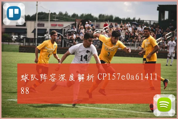 球队阵容深度解析 CP157e0a6141188