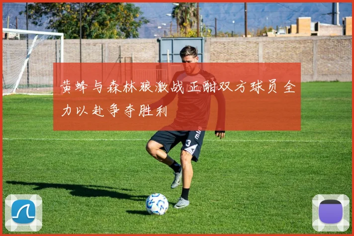 黄蜂与森林狼激战正酣双方球员全力以赴争夺胜利