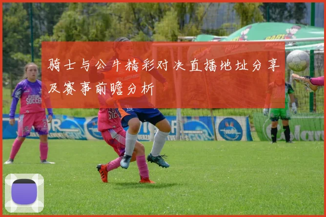 骑士与公牛精彩对决直播地址分享及赛事前瞻分析