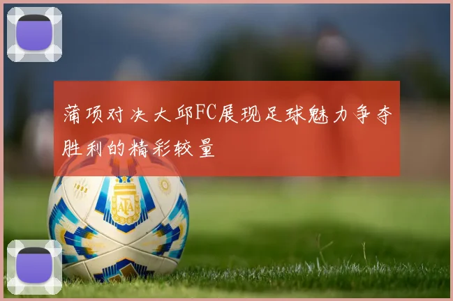 蒲项对决大邱FC展现足球魅力争夺胜利的精彩较量