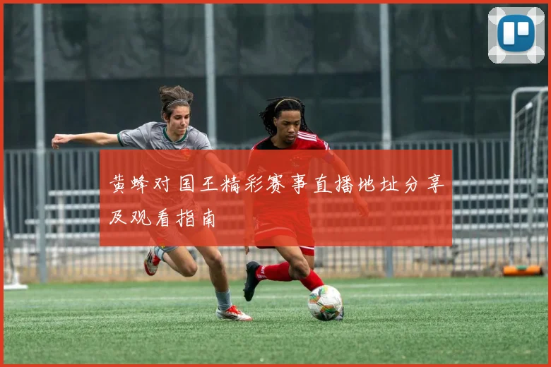 黄蜂对国王精彩赛事直播地址分享及观看指南