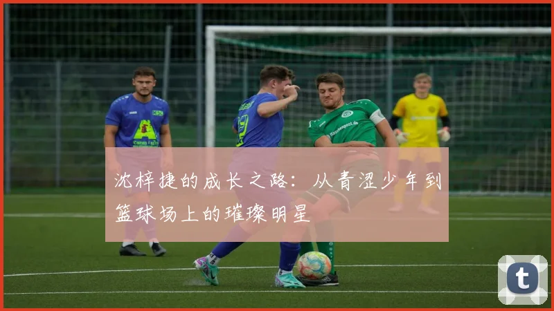 沈梓捷的成长之路：从青涩少年到篮球场上的璀璨明星