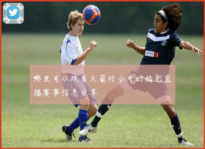 哪里可以观看火箭对小牛的精彩直播赛事信息分享